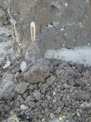  Kilnsea: 15 October 2011 